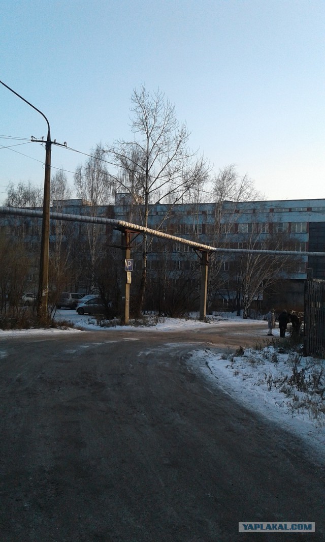 Лёха, вставай!