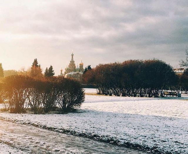 В Петербурге перестали сыпать соль на дороги. Итоги