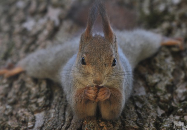 Фотографии победителей премии Best of Russia — 2015