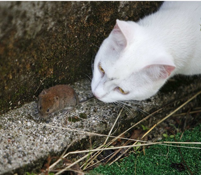 Подборка картинок