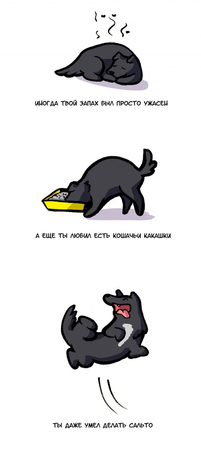 Славный парень. Письмо моему псу Джею