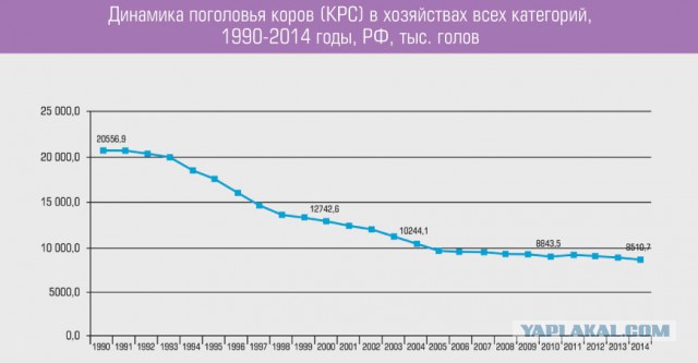 Участники тракторного марша в СИЗО