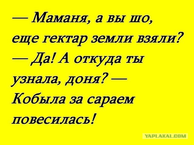 30 личных наблюдений