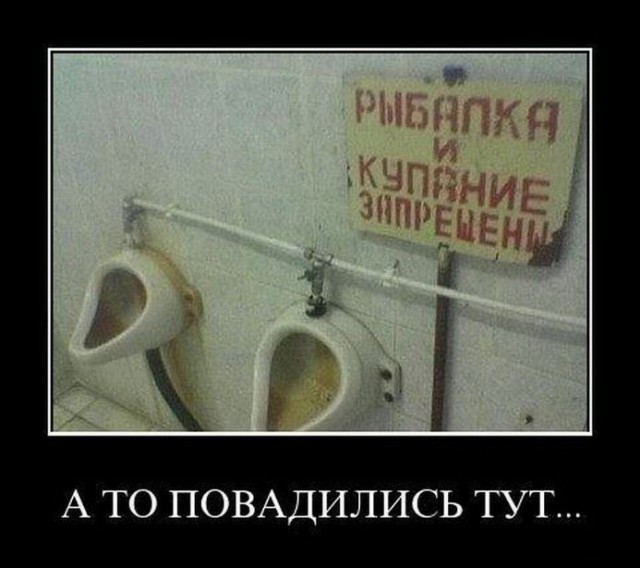 Картинки в черной рамке