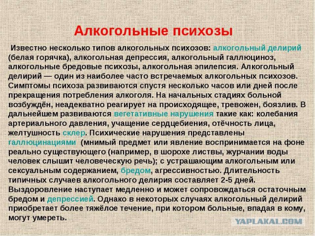 Не бухайте, пацаны (18+)