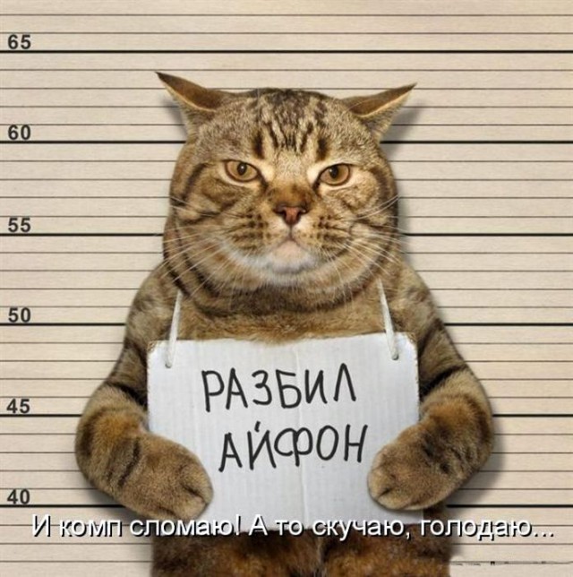 Картинки из инета