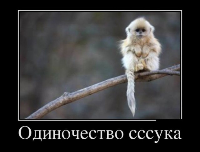 Подборка интересных и веселых картинок