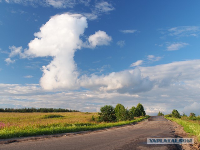 Деревня Девкино. Боровичский район Новгородской области. Фотоподборка.