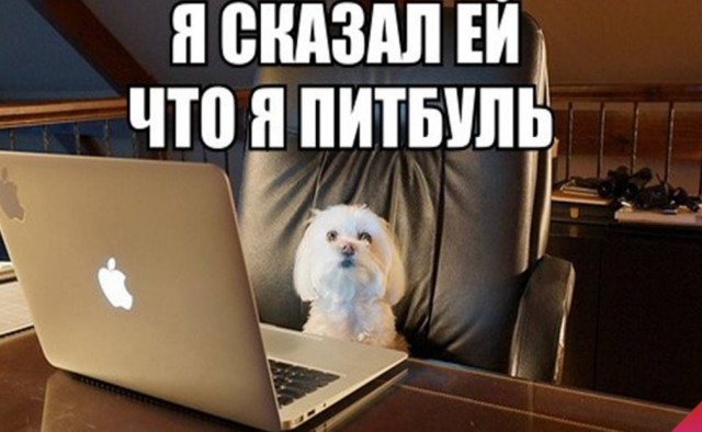 Когда мы успели стать взрослыми? Капелька философии