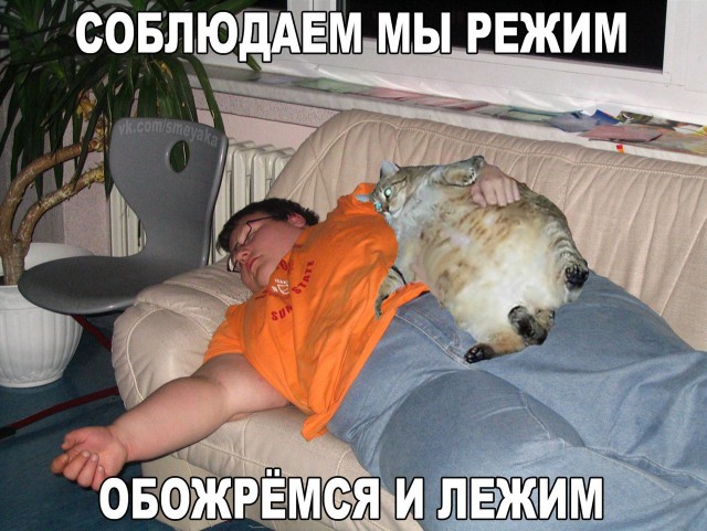 Смешные и не очень картинки из этих ваших интернетов