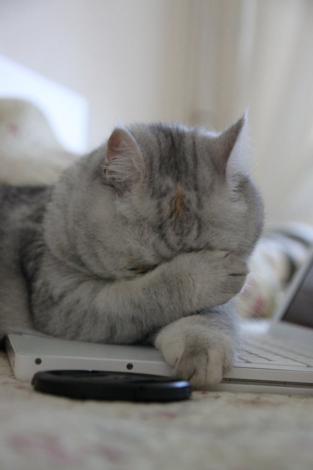 25 человек, которые не хотят быть как все