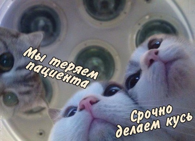 Околомедицинскую деградацию заказывали? Нет? А придётся!