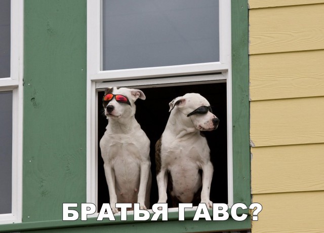 Нестандартный юмор