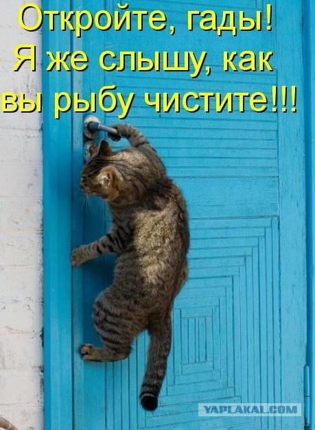 Что делают люди, когда закрываются за дверью