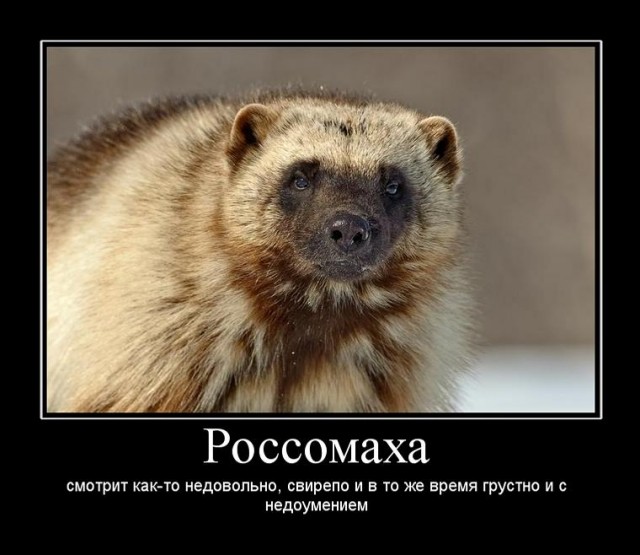 Кто такая Росомаха