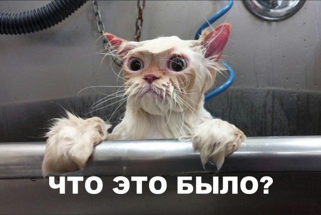 Прикольные картинки абавсём