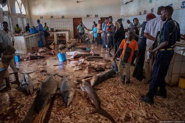 Рыбный рынок в Могадишо
