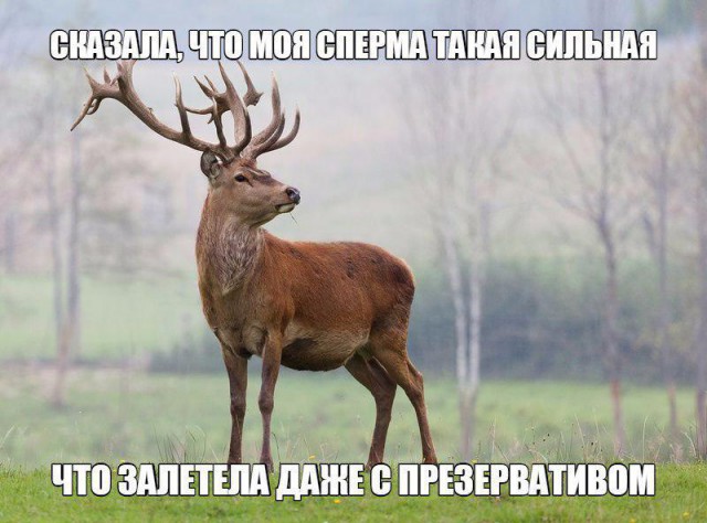 Не очень адекватный юмор