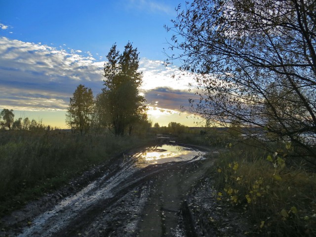 Красота сельских дорог