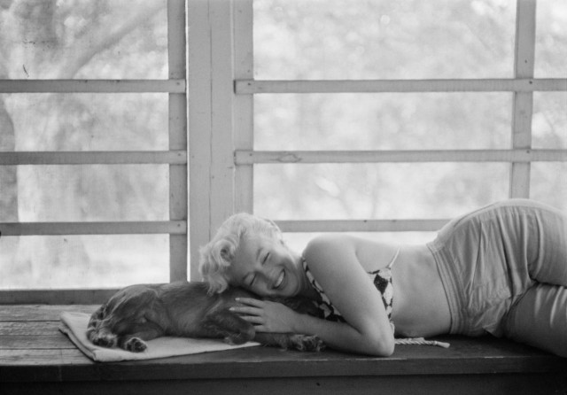 The special edition: Marilyn Monroe