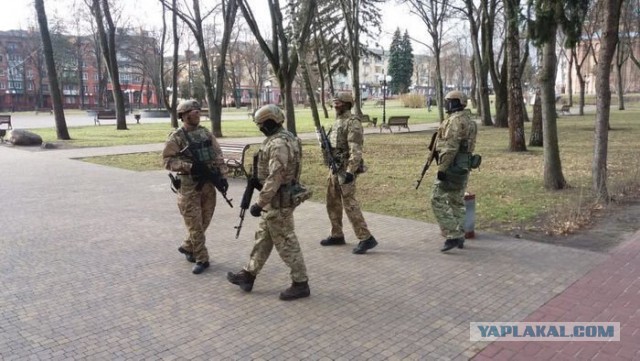 На Украине начались президентские выборы