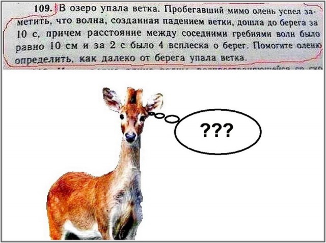Физика - *уизика