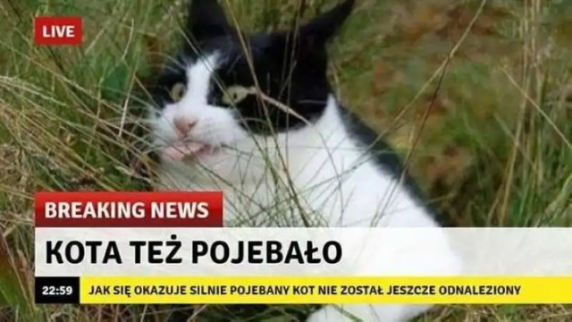 Срочные новости из Польши