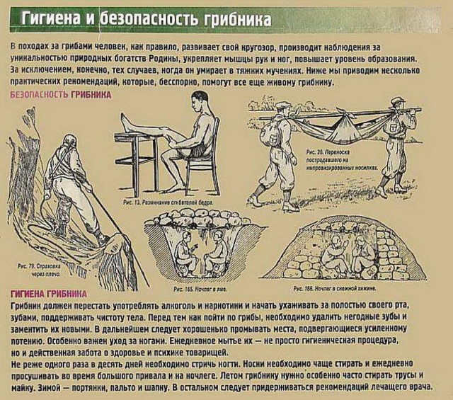 Грибные выходные
