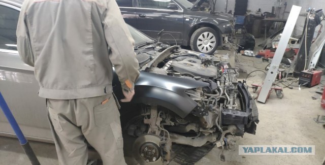 Ремонт у AUTObotanikа