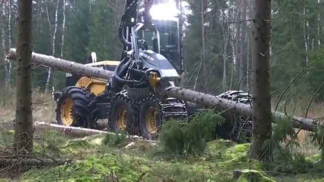 Как обуздать придурка?