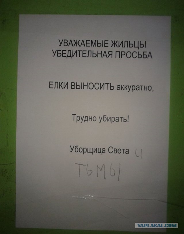 Немного картинок для настроения 19.02.20