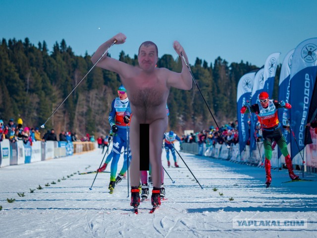 Голый морж