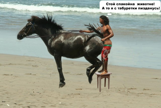 Фотожаба дня: Летающий конь
