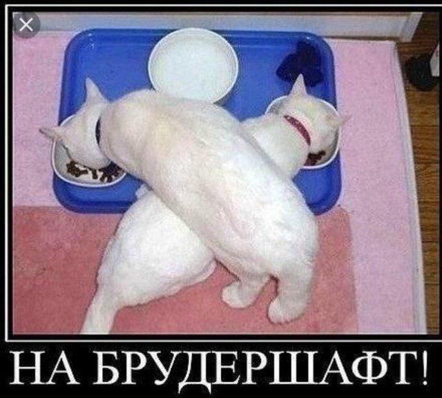 Тест на отцовство