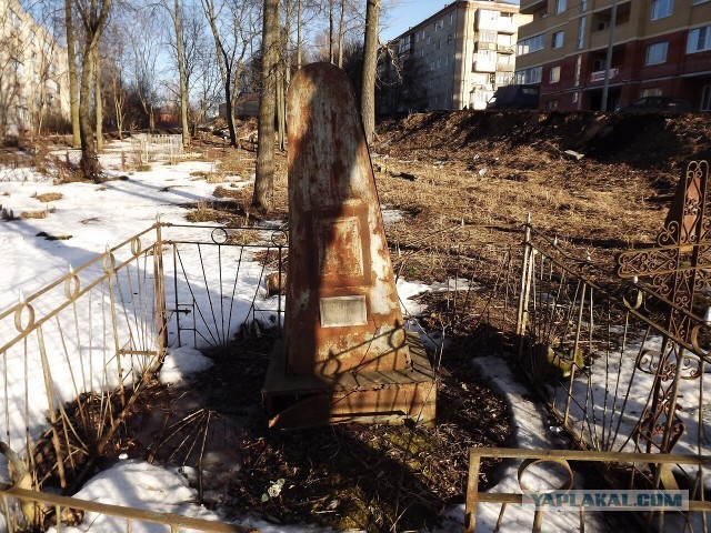 Песков заразился коронавирусом