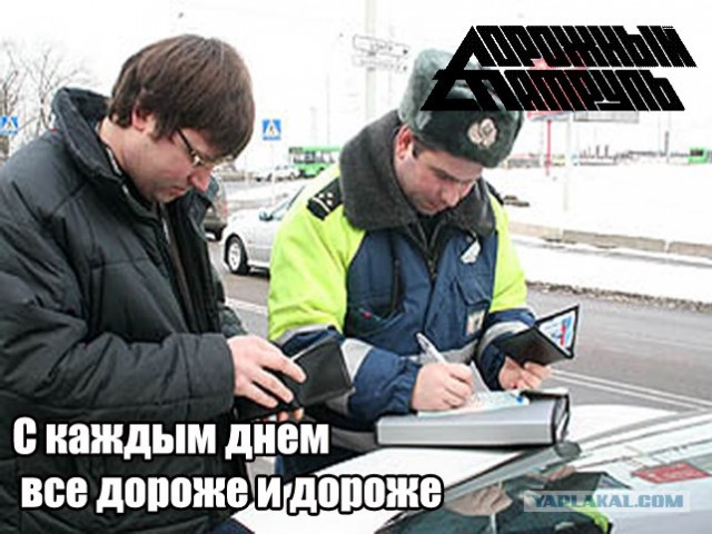 Фотожаба: ТВ программа