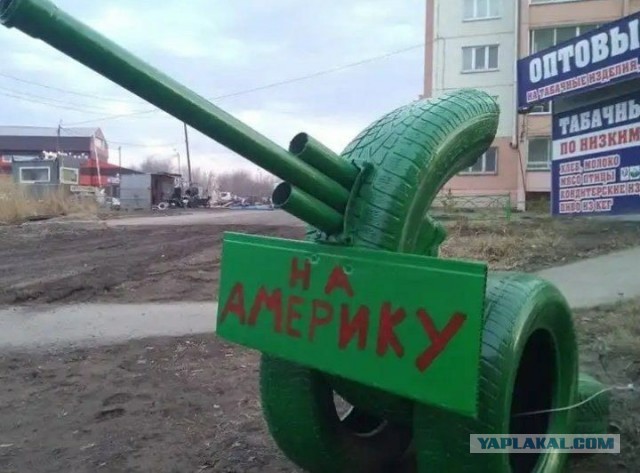 Объявлена внезапная проверка войск ЮВО, ЗВО, ВДВ и морской пехоты