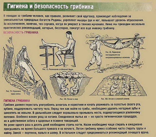 Вдруг поможет в лесу