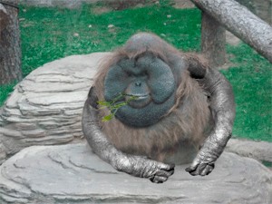 Фотожаба: Всю жизнь за решеткой