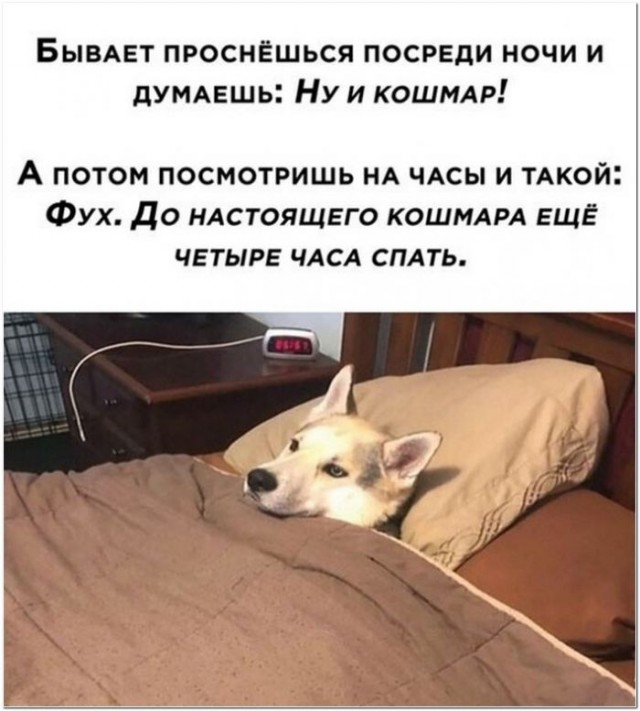 Картинки и мемы для настроения 030