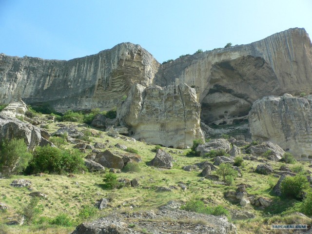 Найдена родня Славика (Летуна)