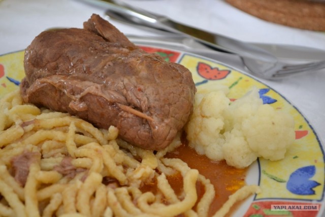 Пятничные посиделки на теплотрассе ©