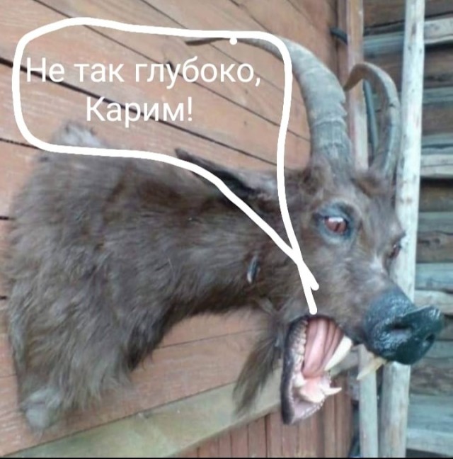 Всяческие картинки 31.01.2022
