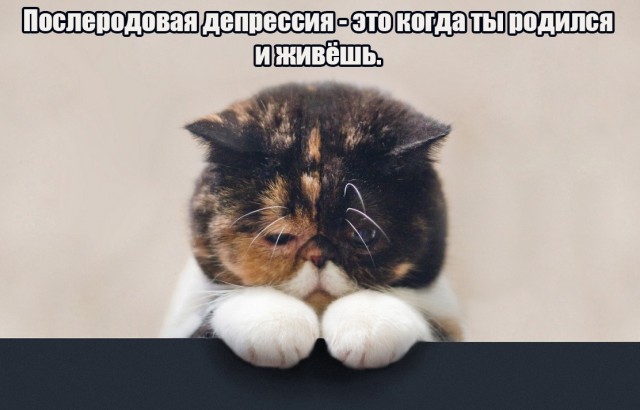 Понедельник начинается с деградации...