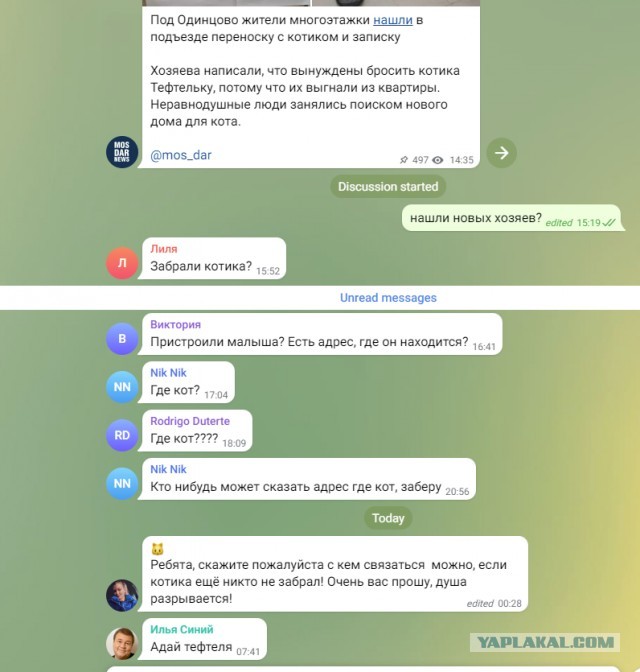 Под Одинцово жители многоэтажки нашли в подъезде переноску с котиком и записку
