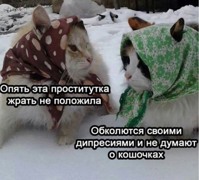 Небольшая подборка про последнюю преграду на пути "уезжающей крыши" - серотонин