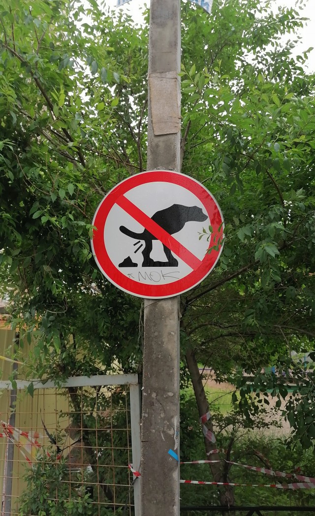 А как вы отдыхали прошлым летом?