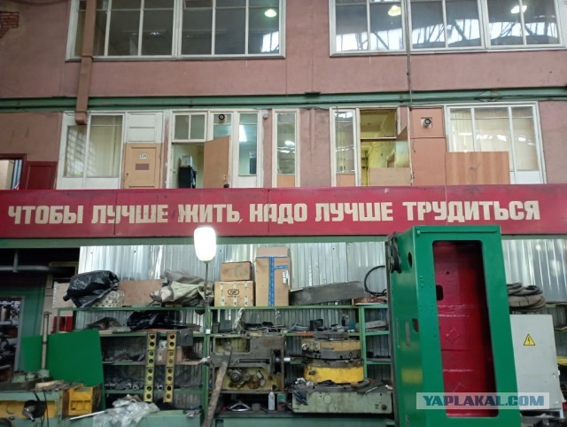 Настенная жизнь обычного завода