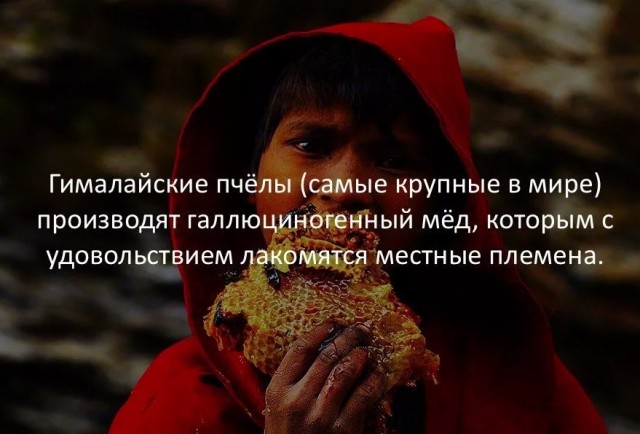 70 удивительных фактов