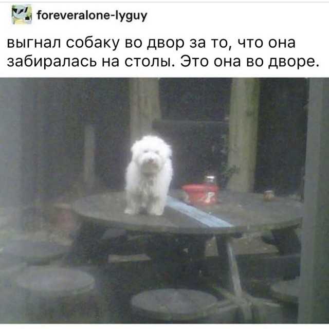Так себе картинки 15.05.22